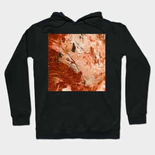 Bronze fire agate Hoodie